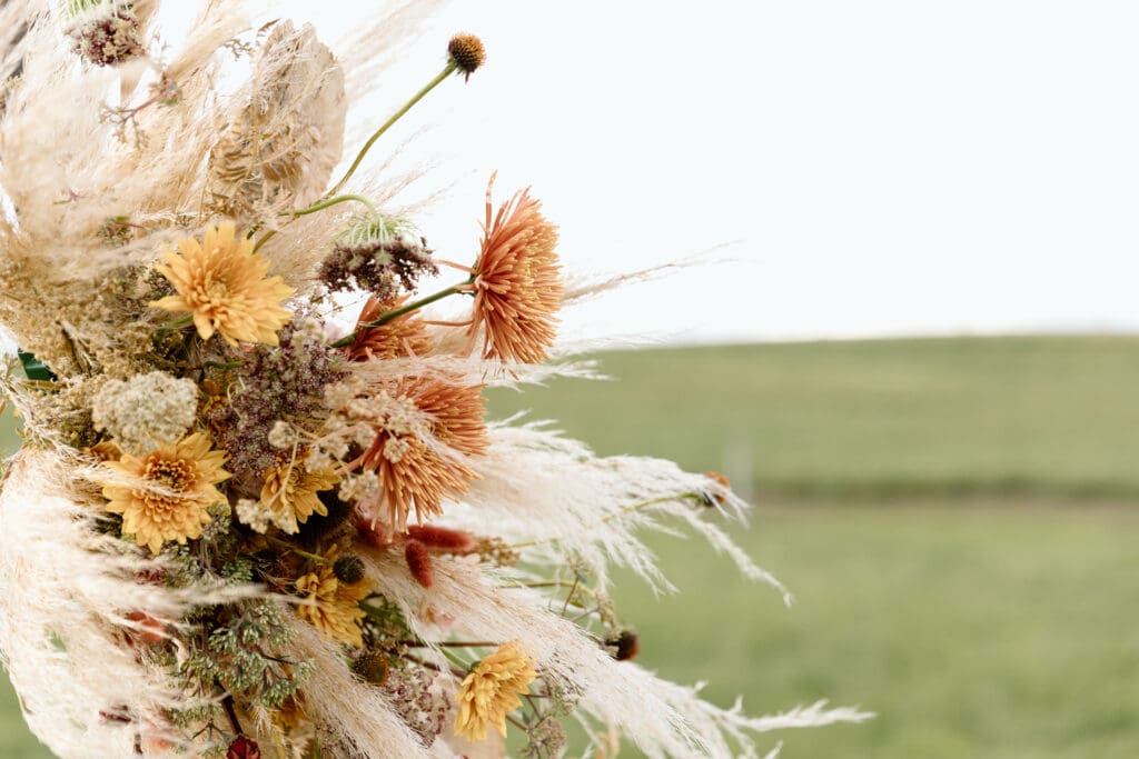 Flowers blowing in the wind after a passing shower.