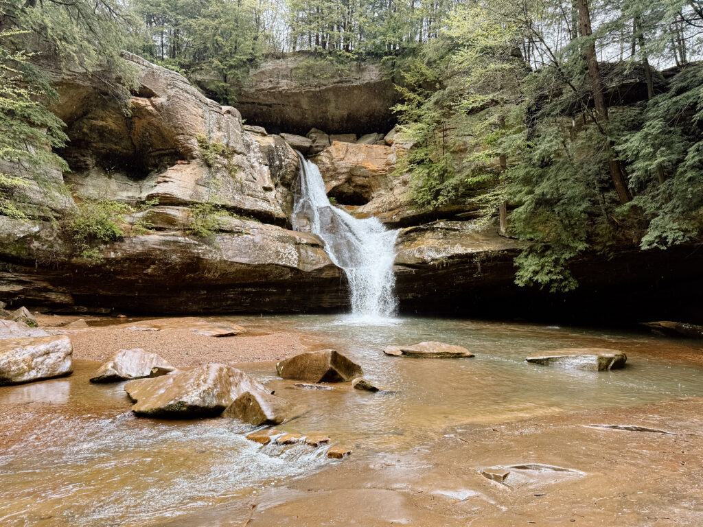 Cedar falls