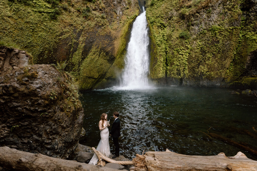 Couple saying their vows in front of a waterfall.