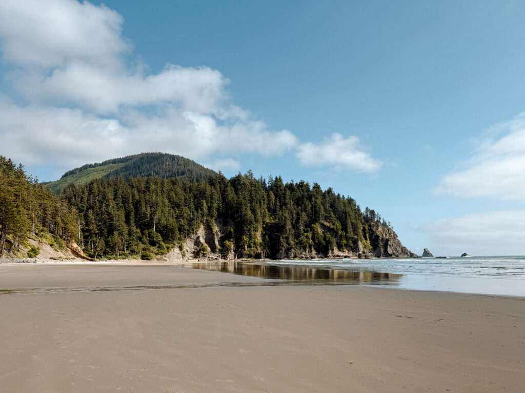 Tree-lined beach on the Oregon Coast.