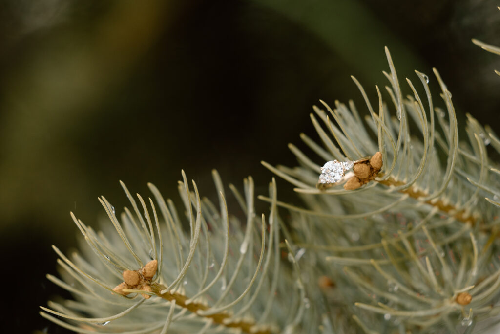 A close up of the engagement ring.
