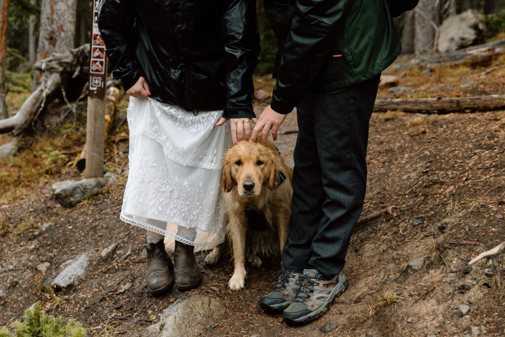 Eloping couple petting their dog on the head, it's raining.