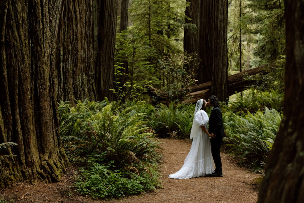 Couple embracing in the Redwoods at sunrise.
