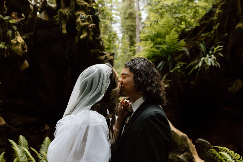 Couple kissing in front of a redwood tree