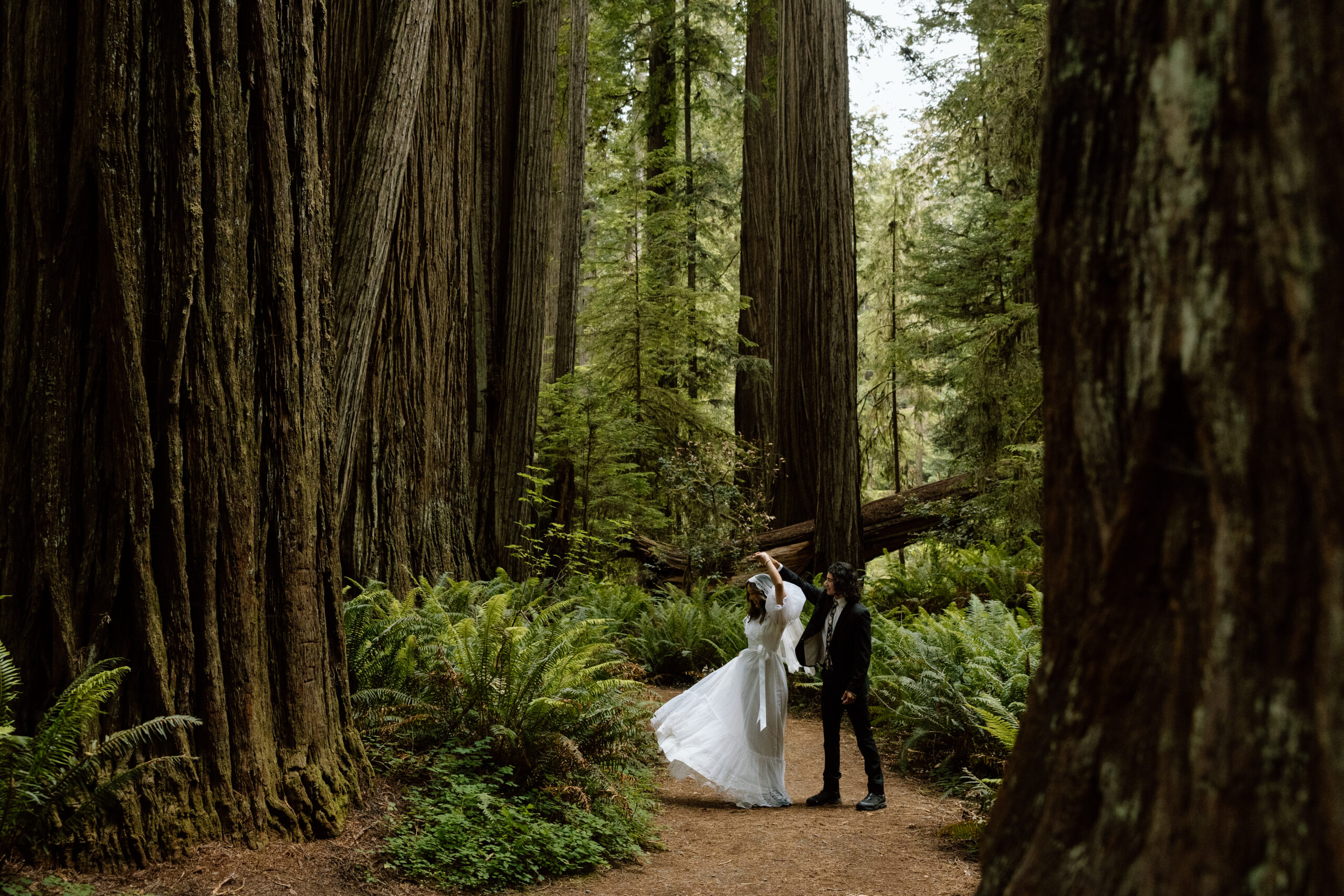 Couple dancing in the redwoods