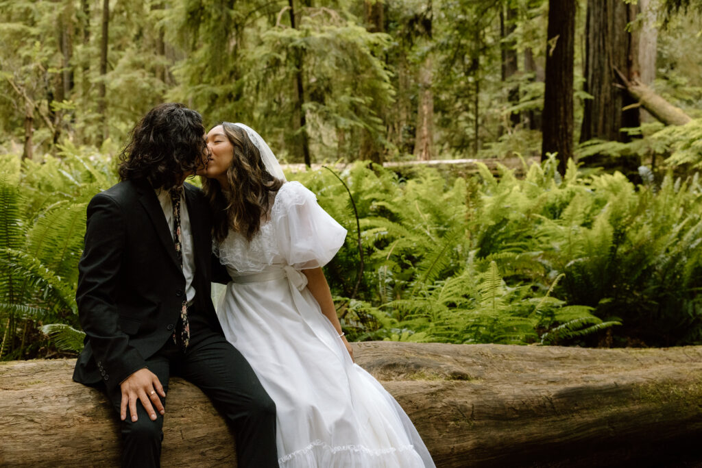 Couple sitting on a downed log.