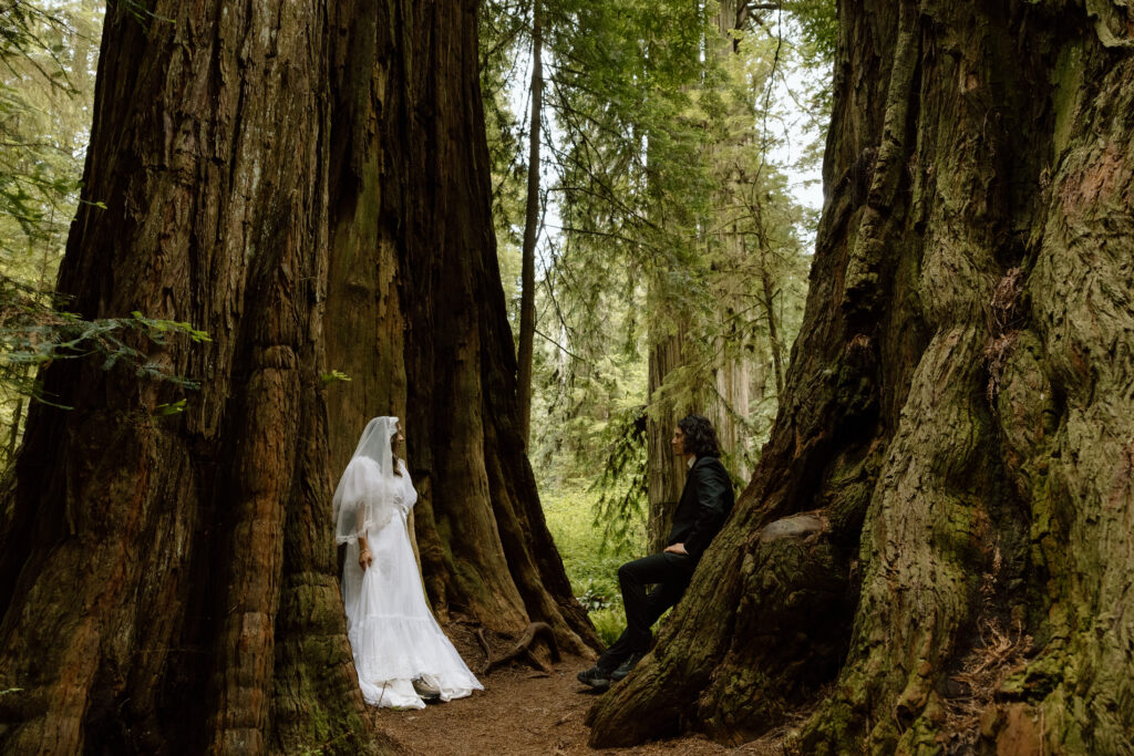 Couple leaning against two redwood trees