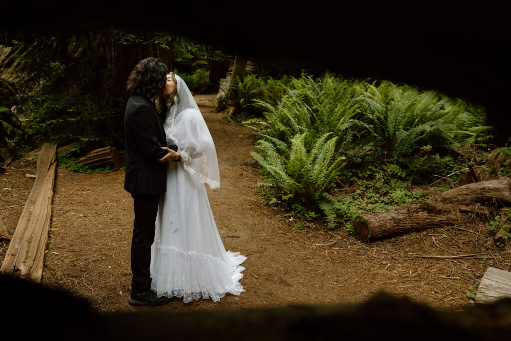Couple kissing framed by a fallen redwood tree