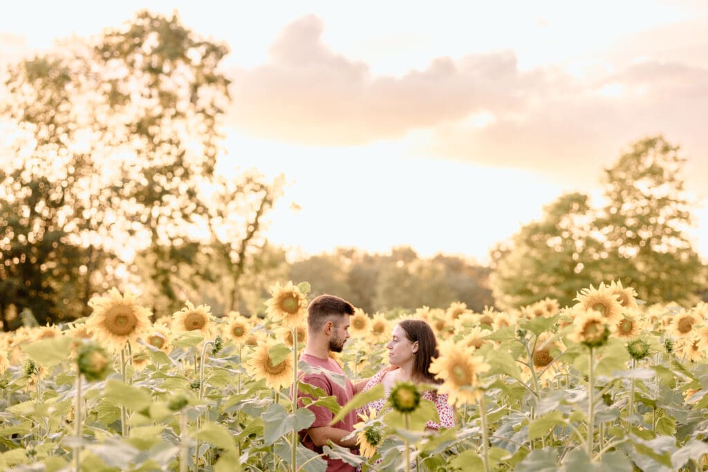 Couple standing in a sunflower field.