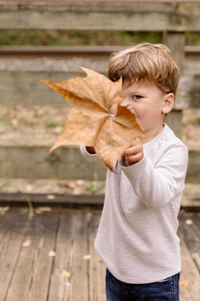 Boy holding up a giant leaf.